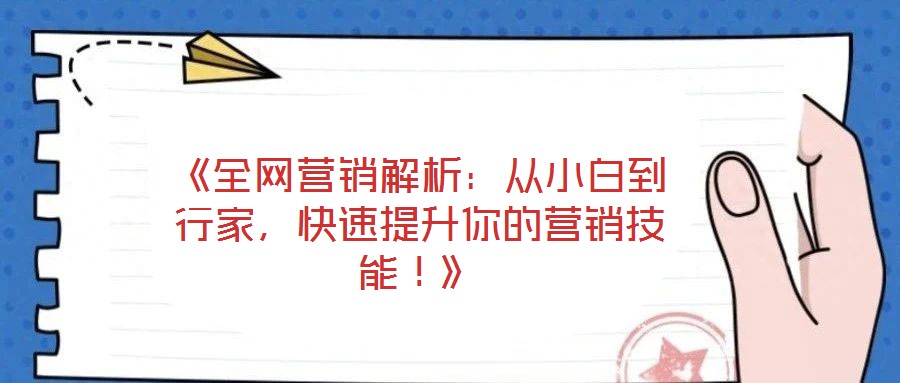 《全網(wǎng)營銷解析:從小白到行家,快速提升你的營銷技能!》