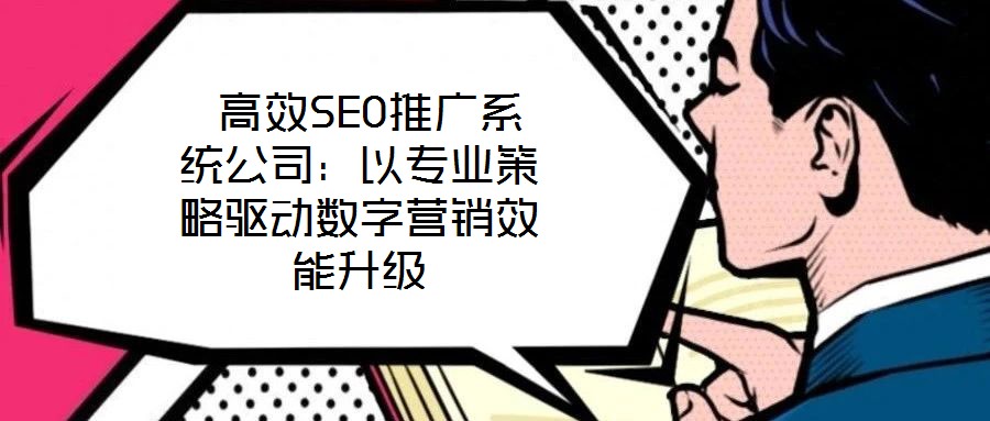 高效SEO推廣系統(tǒng)公司:以專(zhuān)業(yè)策略驅(qū)動(dòng)數(shù)字營(yíng)銷(xiāo)效能升級(jí)